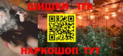 индика Пушкино