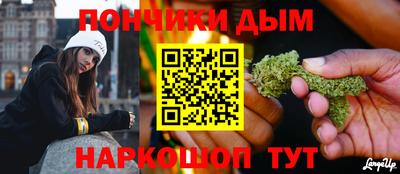 индика Пушкино