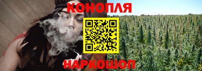 индика Пушкино
