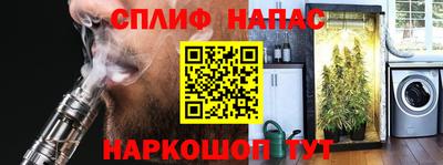 индика Пушкино