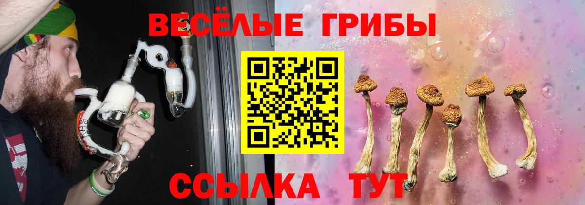 Родники  Псилоцибиновые грибы Psilocybine cubensis  Псилоцибиновые грибы мухоморы  Вход с VPN 